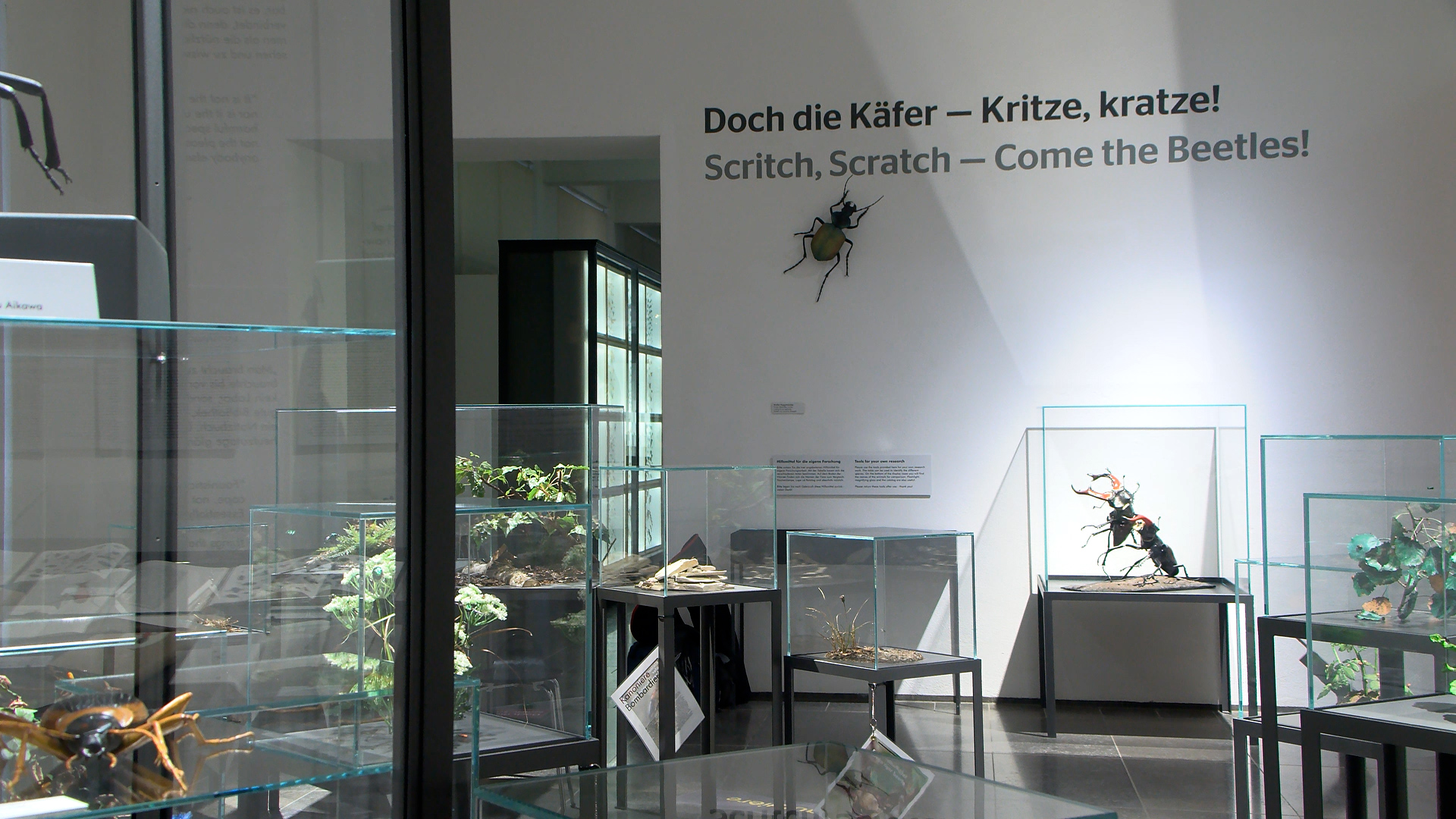 Doch die Käfer — Kritze, kratze! – Museum Wiesbaden